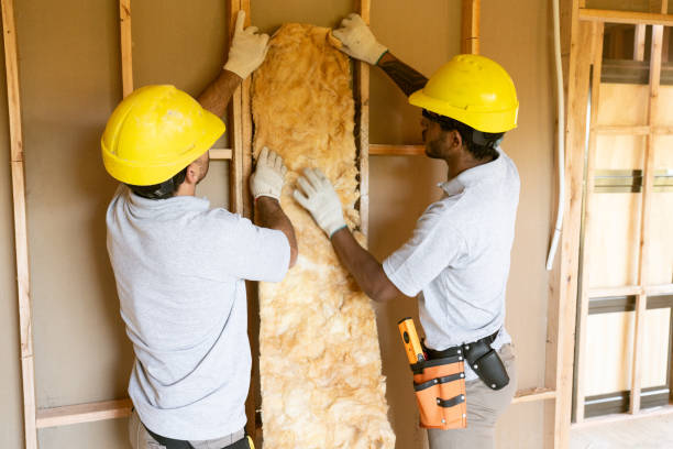 Best Insulation Replacement Services  in Sparks, TX